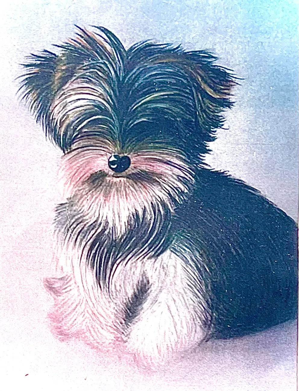 Art Fabric – Kunstgalerie – Tierporträts