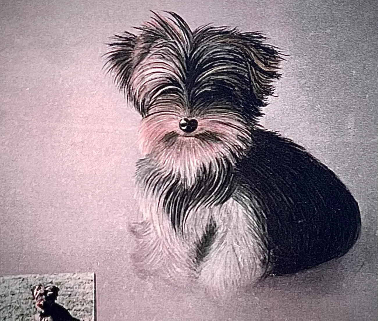 Art Fabric – Kunstgalerie – Tierporträts