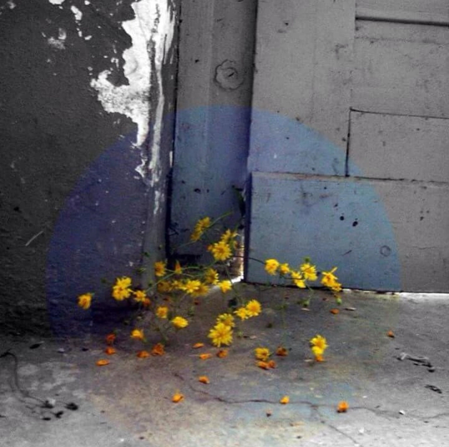 Art Fabric – Kunstgalerie – Kunstwerk